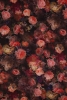 Designer Pure Printed Crepe Silk Fabric
